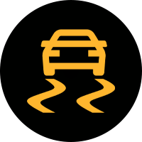 Waarschuwingslampje: ESP (anti-slip)